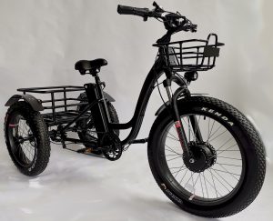 https://mobilityscootrike.com/product-category/electric-tricycles/
