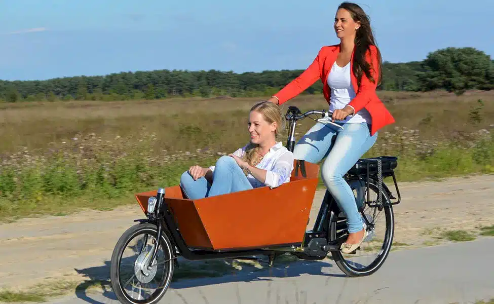 Bakfiets Family Cargo Mid-Loader Electric Bike $2799.00