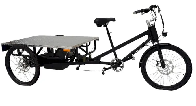 Flatbed Cargo e-Trike $4999.00 - Image 4
