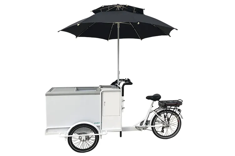 Electric Ice Cream Tricycle for Mobile Vending $4999.00 - Image 2