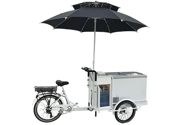 Electric Ice Cream Tricycle for Mobile Vending $4999.00
