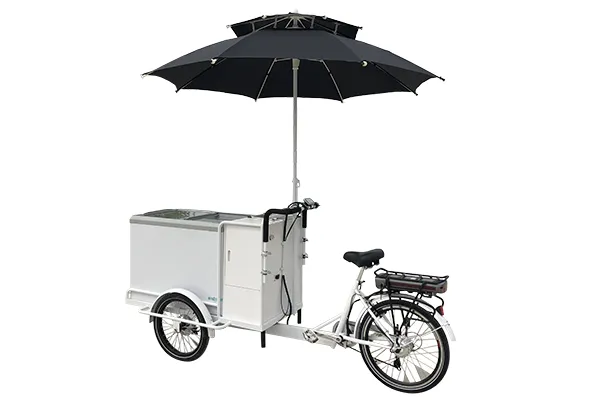 Electric Ice Cream Tricycle for Mobile Vending $4999.00 - Image 4