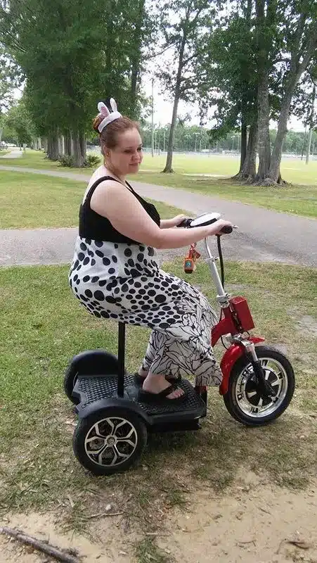 Folding e-Bike for Urban Mobility $1799.00 - Image 4